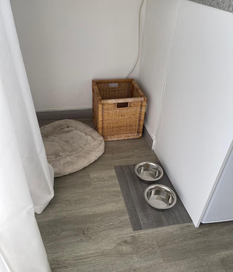 Cozy Studio On The Beach 昂蒂布 外观 照片